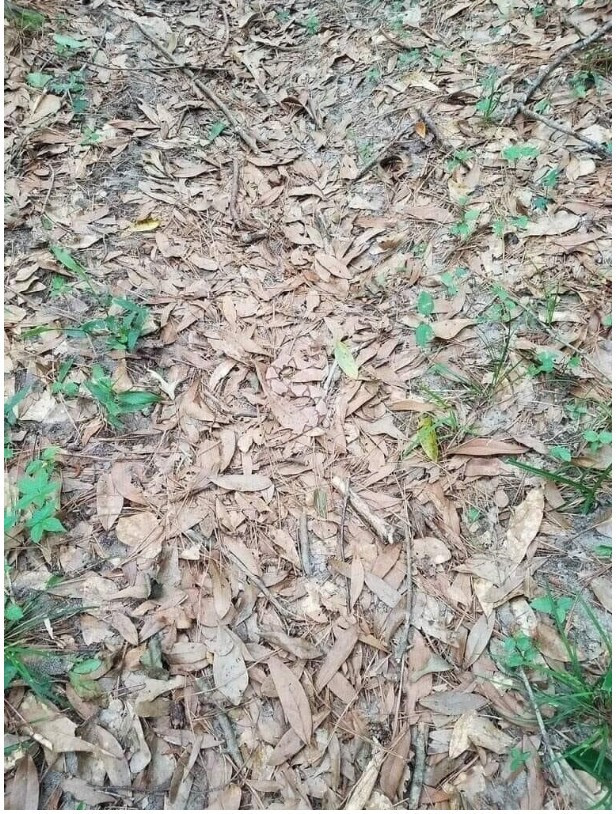 사람이 뱀한테 물릴 수밖에 없는 이유