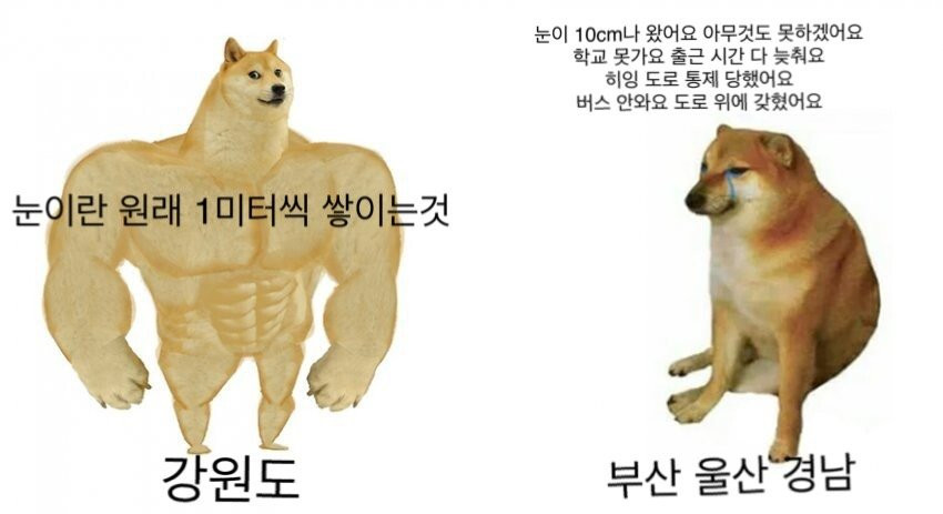 눈 왔을 때 강원도와 부울경의 반응 차이
