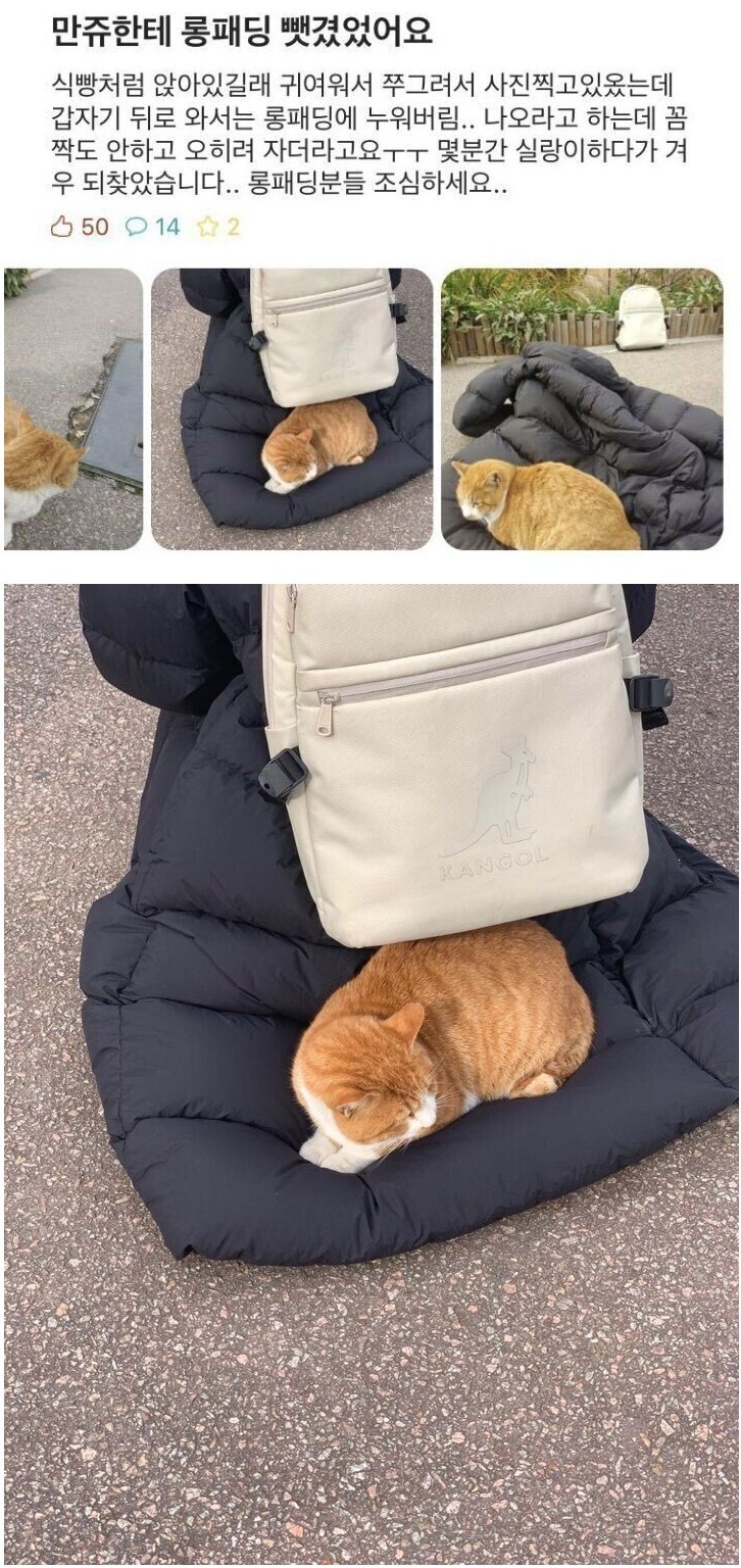 건국대에서 롱패딩을 조심해야 하는 이유