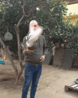 묘기.......................